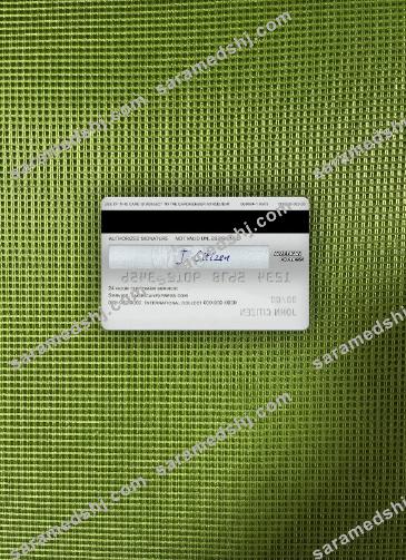 USA Sutton bank AMEX platinum card photolook back
